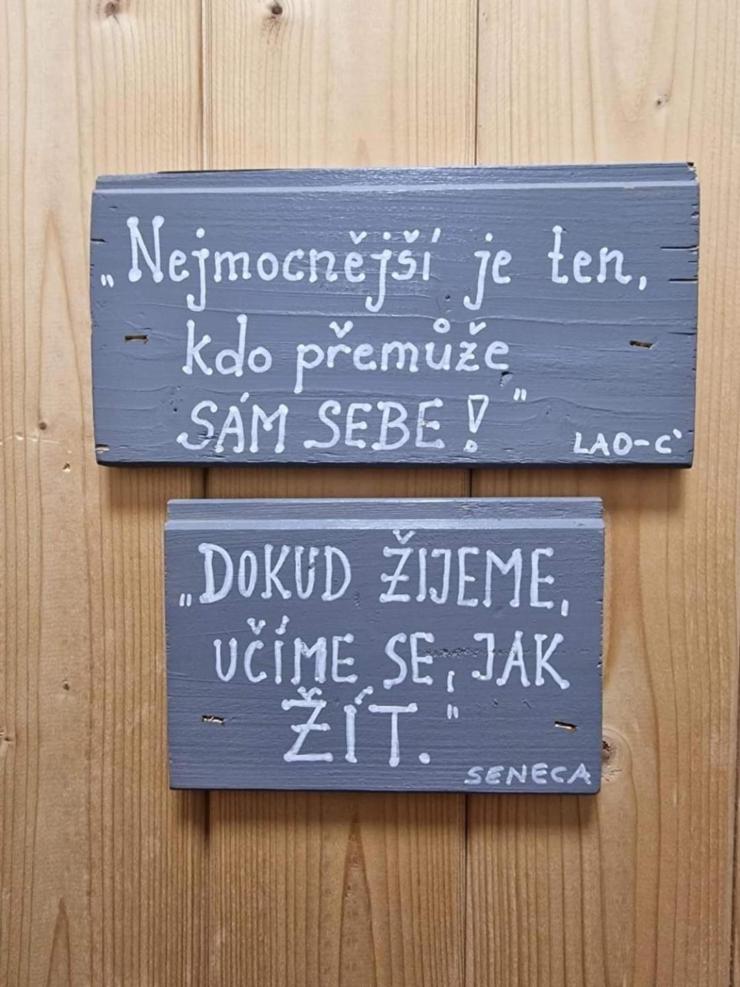 Penzion Slunecnice Kurimska Nova Ves المظهر الخارجي الصورة